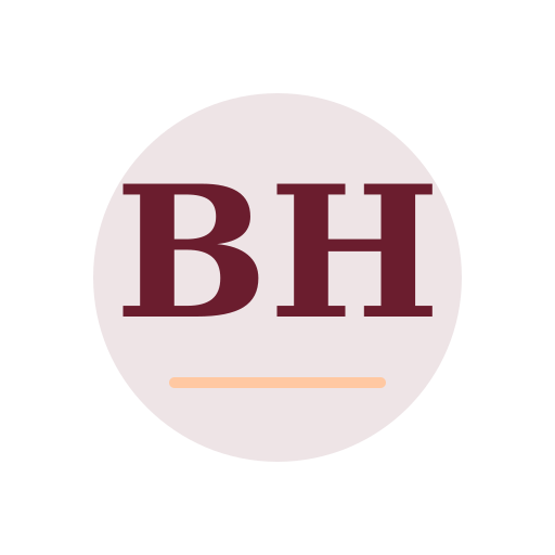 Bright Haven Air Duct Services logo
